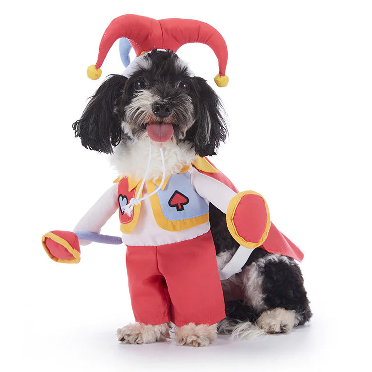 Howl-o-ween Dog Costumes