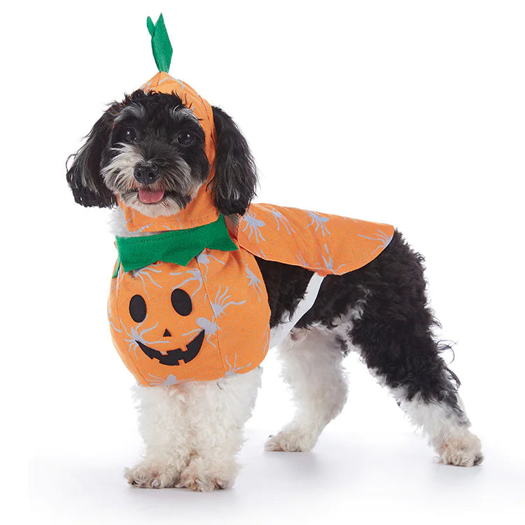 Howl-o-ween Dog Costumes