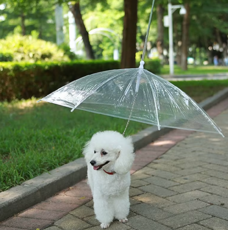 Puddle Paws Leash Umbrella