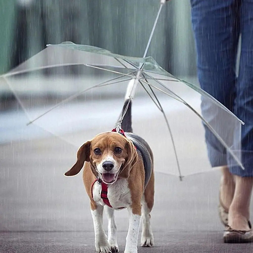 Puddle Paws Leash Umbrella